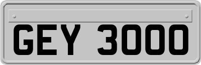 GEY3000