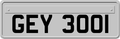 GEY3001