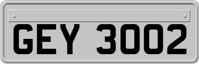 GEY3002