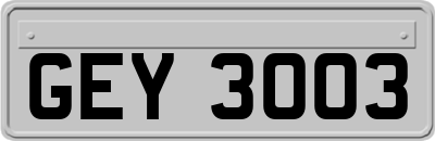 GEY3003