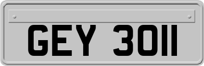 GEY3011
