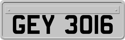 GEY3016