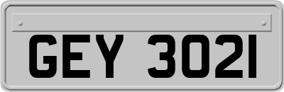 GEY3021