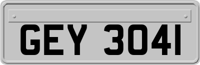 GEY3041