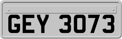GEY3073