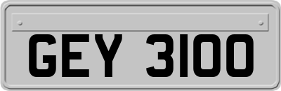GEY3100