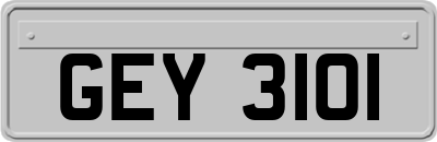 GEY3101
