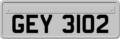 GEY3102
