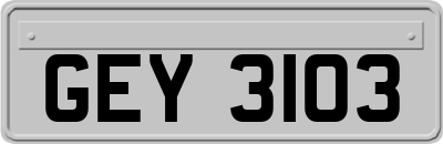 GEY3103