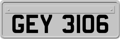 GEY3106