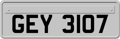GEY3107