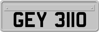 GEY3110