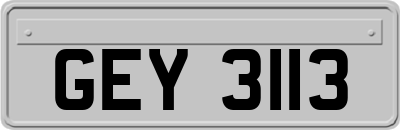 GEY3113