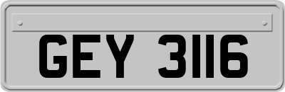GEY3116