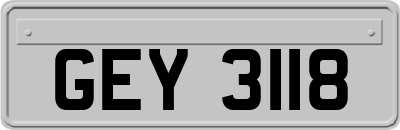 GEY3118