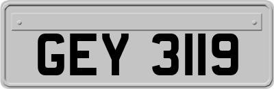 GEY3119