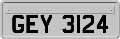 GEY3124