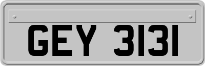 GEY3131