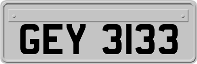 GEY3133