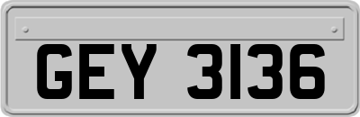 GEY3136