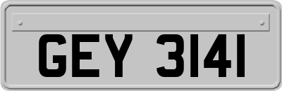 GEY3141