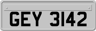 GEY3142