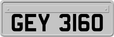 GEY3160