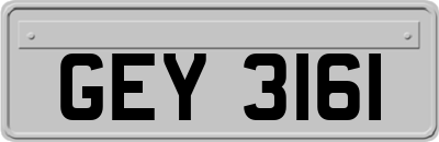 GEY3161