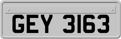 GEY3163