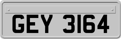 GEY3164