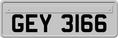 GEY3166