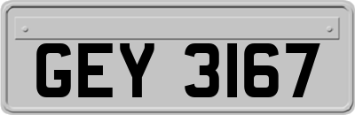 GEY3167