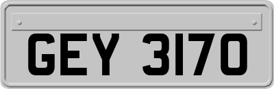GEY3170