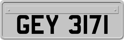 GEY3171