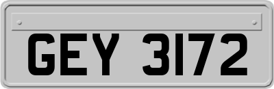 GEY3172
