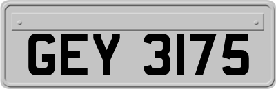 GEY3175
