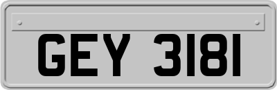 GEY3181