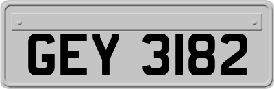 GEY3182
