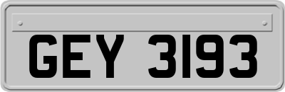 GEY3193