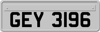 GEY3196