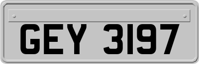 GEY3197