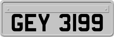 GEY3199