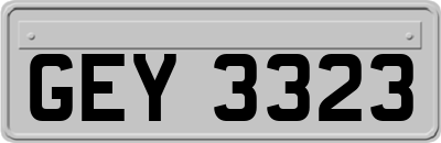GEY3323