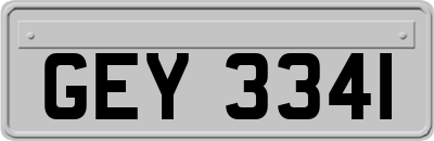 GEY3341