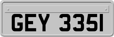 GEY3351