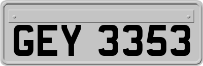 GEY3353