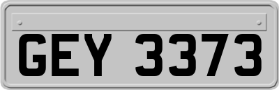 GEY3373