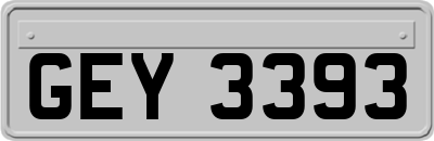 GEY3393