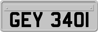 GEY3401