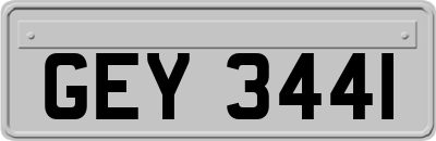 GEY3441